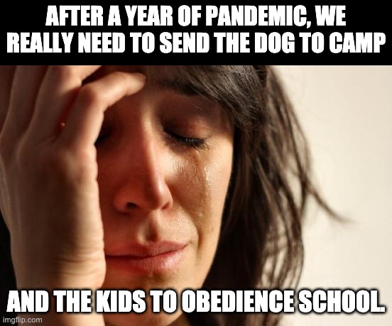 Camp/obedience | AFTER A YEAR OF PANDEMIC, WE REALLY NEED TO SEND THE DOG TO CAMP; AND THE KIDS TO OBEDIENCE SCHOOL. | image tagged in memes,first world problems | made w/ Imgflip meme maker