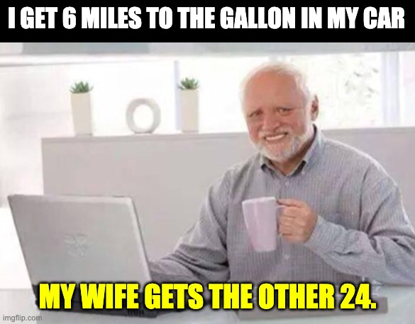 MPG | I GET 6 MILES TO THE GALLON IN MY CAR; MY WIFE GETS THE OTHER 24. | image tagged in harold | made w/ Imgflip meme maker