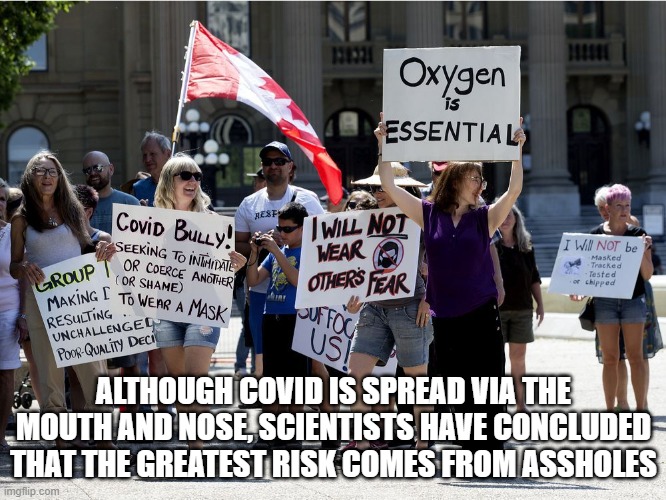 COVIDIOTS | ALTHOUGH COVID IS SPREAD VIA THE MOUTH AND NOSE, SCIENTISTS HAVE CONCLUDED THAT THE GREATEST RISK COMES FROM ASSHOLES | image tagged in covidiots | made w/ Imgflip meme maker