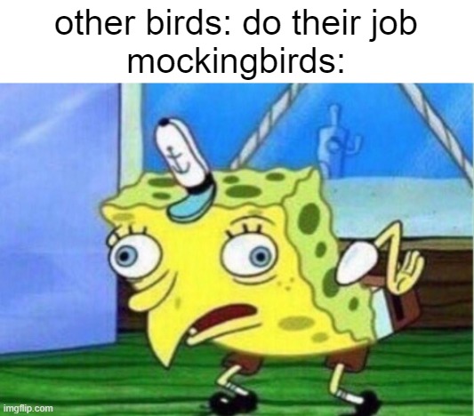 stop mocking me | other birds: do their job
mockingbirds: | image tagged in memes,mocking spongebob | made w/ Imgflip meme maker