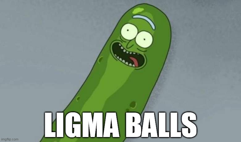 Pickle rick | LIGMA BALLS | image tagged in pickle rick,ligma balls,ligma | made w/ Imgflip meme maker