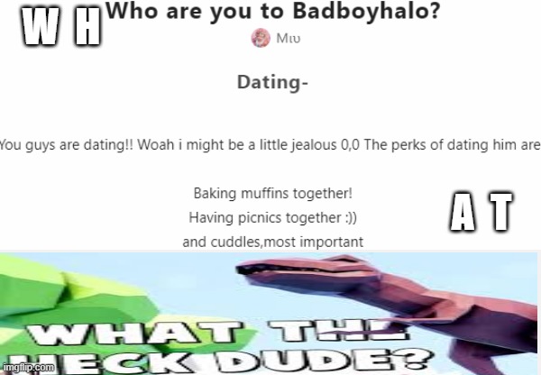 Idk if im old enough to date a youtuber... (mod note: Why would people make these things) |  W  H; A  T | image tagged in what the heck | made w/ Imgflip meme maker
