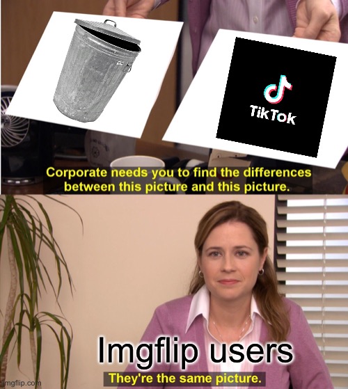They're The Same Picture Meme |  Imgflip users | image tagged in memes,they're the same picture | made w/ Imgflip meme maker