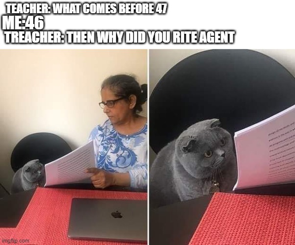 Woman showing paper to cat | ME:46; TEACHER: WHAT COMES BEFORE 47; TREACHER: THEN WHY DID YOU RITE AGENT | image tagged in woman showing paper to cat | made w/ Imgflip meme maker