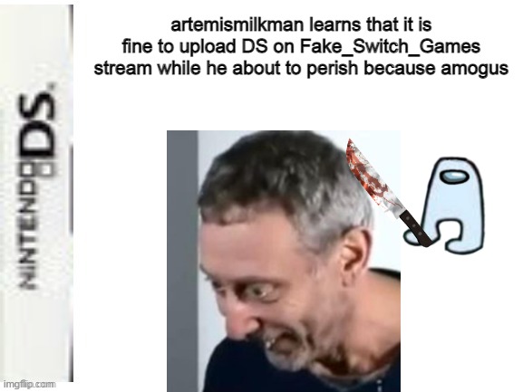 R E A L I S A T I O N |  artemismilkman learns that it is fine to upload DS on Fake_Switch_Games stream while he about to perish because amogus | image tagged in blank nintendo ds box | made w/ Imgflip meme maker