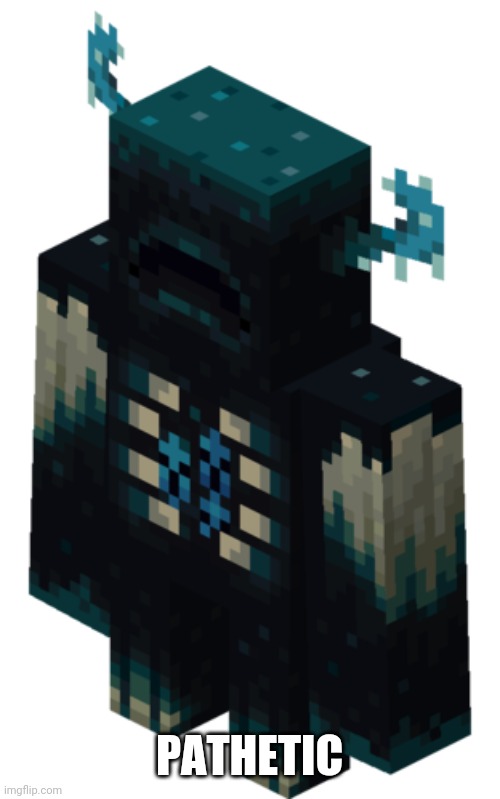 Minecraft Warden | PATHETIC | image tagged in minecraft warden | made w/ Imgflip meme maker