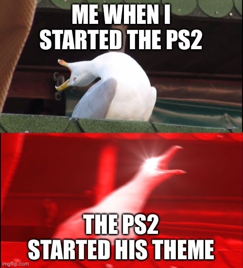 Screaming bird | ME WHEN I STARTED THE PS2; THE PS2 STARTED HIS THEME | image tagged in screaming bird | made w/ Imgflip meme maker