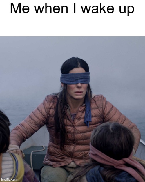 I can't see much | Me when I wake up | image tagged in memes,bird box,morning | made w/ Imgflip meme maker