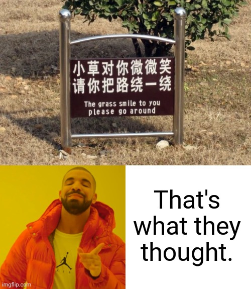 Truly it's not bad. | That's what they thought. | image tagged in memes,drake hotline bling,funny,you had one job,chinese,infinite iq | made w/ Imgflip meme maker