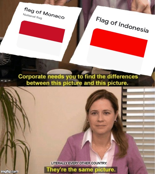 Or is it Poland? | LITERALLY EVERY OTHER COUNTRY: | image tagged in they re the same thing,flag,they're the same picture,confused,oh wow are you actually reading these tags | made w/ Imgflip meme maker
