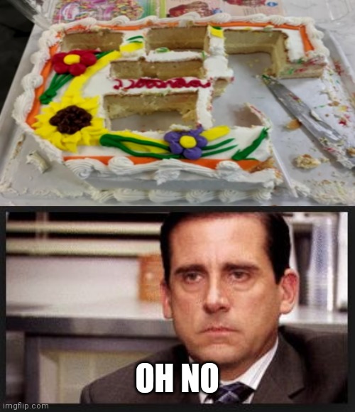 Guy who took that photo probably lives with sadists |  OH NO | image tagged in irritated,memes,birthday,birthday cake | made w/ Imgflip meme maker