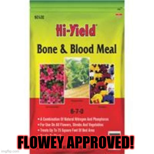 FLOWEY APPROVED! | made w/ Imgflip meme maker
