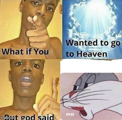 What if you wanted to go to Heaven | image tagged in what if you wanted to go to heaven | made w/ Imgflip meme maker