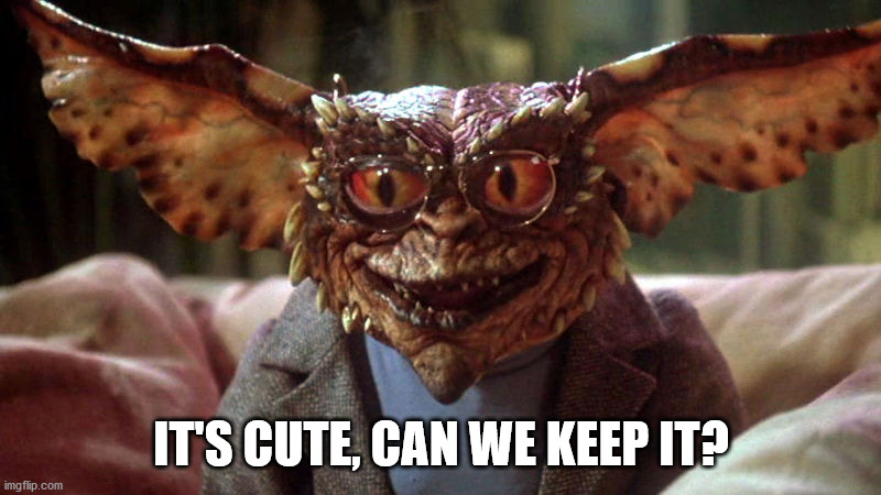 Gremlin  | IT'S CUTE, CAN WE KEEP IT? | image tagged in gremlin | made w/ Imgflip meme maker