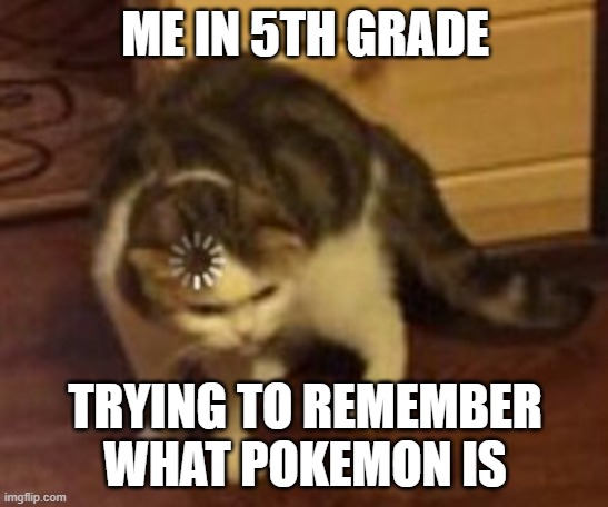 WHO REMEMBERS POKEMON | ME IN 5TH GRADE; TRYING TO REMEMBER WHAT POKEMON IS | image tagged in loading cat | made w/ Imgflip meme maker