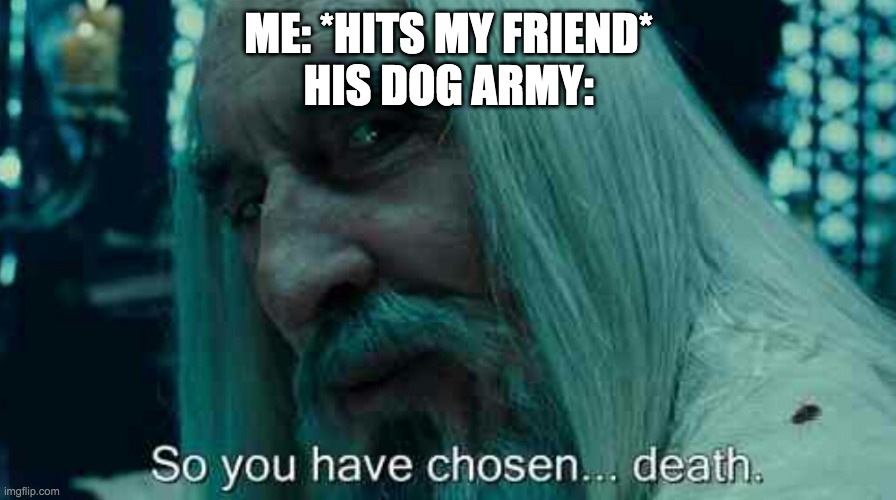 So you have chosen death | ME: *HITS MY FRIEND*
HIS DOG ARMY: | image tagged in so you have chosen death | made w/ Imgflip meme maker