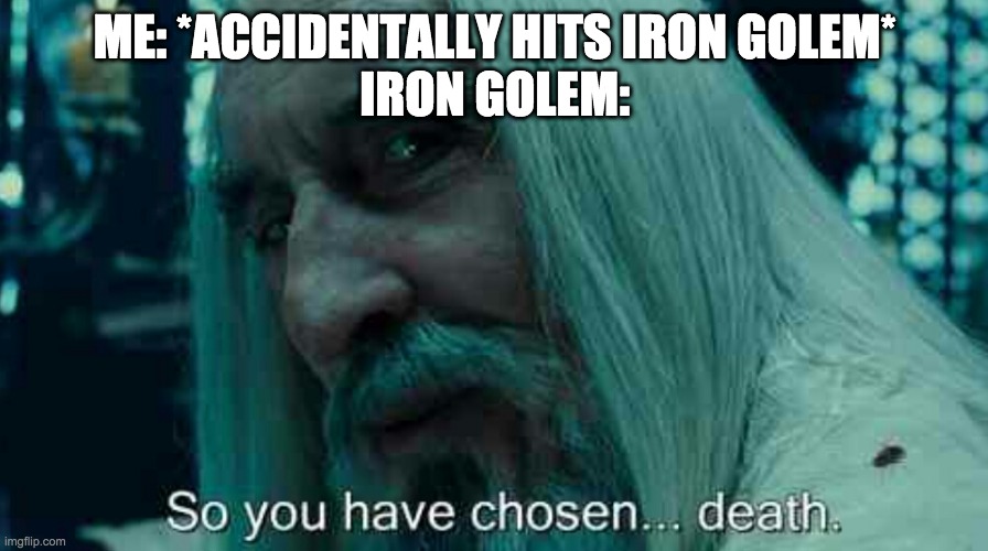So you have chosen death | ME: *ACCIDENTALLY HITS IRON GOLEM*
IRON GOLEM: | image tagged in so you have chosen death | made w/ Imgflip meme maker