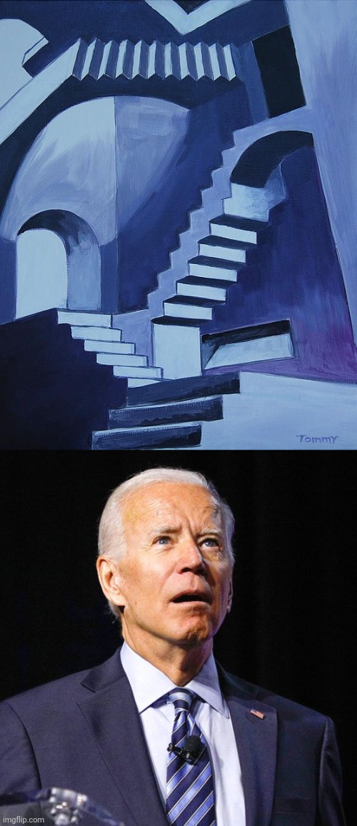 More staircases for the basket case | image tagged in joe biden,art,stairs,jackass,old pervert,air force one | made w/ Imgflip meme maker