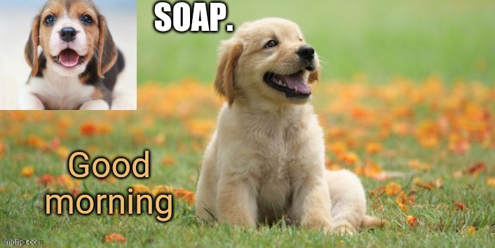 soap doggo template | Good morning | image tagged in soap doggo template | made w/ Imgflip meme maker