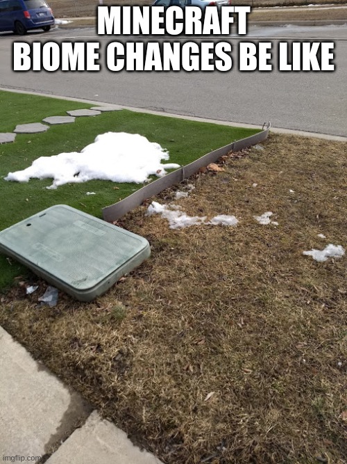 photo taken by me | MINECRAFT BIOME CHANGES BE LIKE | image tagged in poop | made w/ Imgflip meme maker