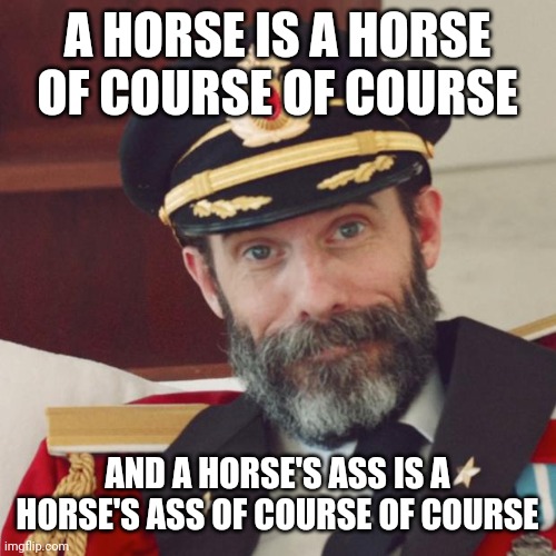 Not trying to be the neigh sayer | A HORSE IS A HORSE OF COURSE OF COURSE; AND A HORSE'S ASS IS A HORSE'S ASS OF COURSE OF COURSE | image tagged in captain obvious,words,sayings,horses | made w/ Imgflip meme maker
