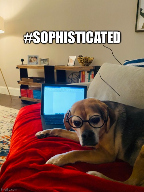 If dogs could talk |  #SOPHISTICATED | image tagged in imgflip | made w/ Imgflip meme maker