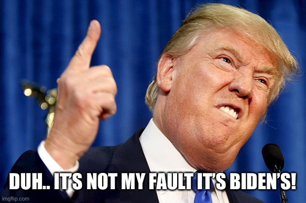 Donald Trump | DUH.. IT’S NOT MY FAULT IT’S BIDEN’S! | image tagged in donald trump | made w/ Imgflip meme maker