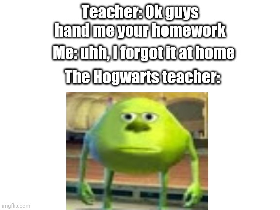 At home you say? | Teacher: Ok guys hand me your homework; Me: uhh, I forgot it at home; The Hogwarts teacher: | image tagged in hogwarts,sully wazowski | made w/ Imgflip meme maker
