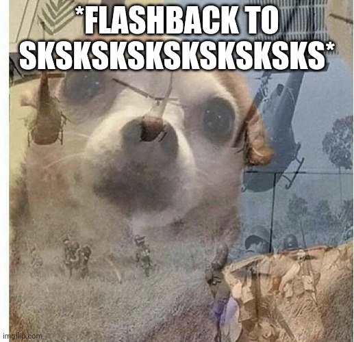 PTSD Chihuahua | *FLASHBACK TO SKSKSKSKSKSKSKSKS* | image tagged in ptsd chihuahua | made w/ Imgflip meme maker