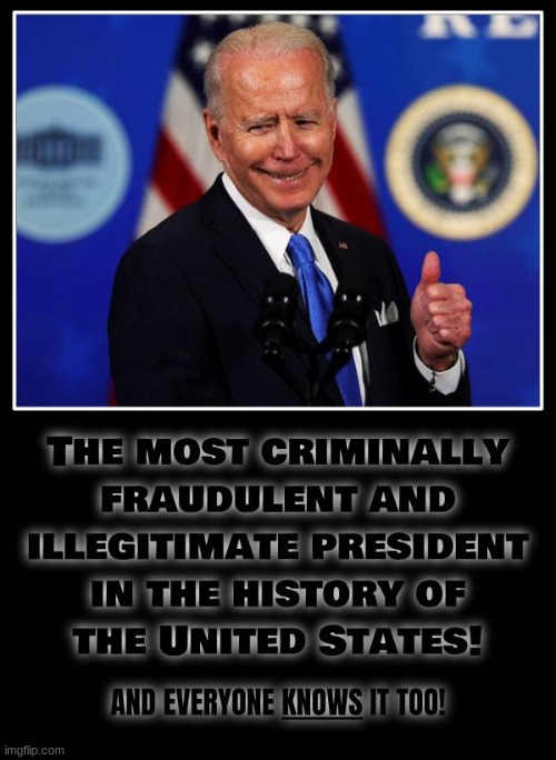 Everyone with sense knows | image tagged in voter fraud,rigged elections,criminal,joe biden,political,politics | made w/ Imgflip meme maker