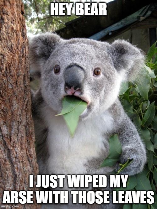 leaves | HEY BEAR; I JUST WIPED MY ARSE WITH THOSE LEAVES | image tagged in memes,surprised koala | made w/ Imgflip meme maker