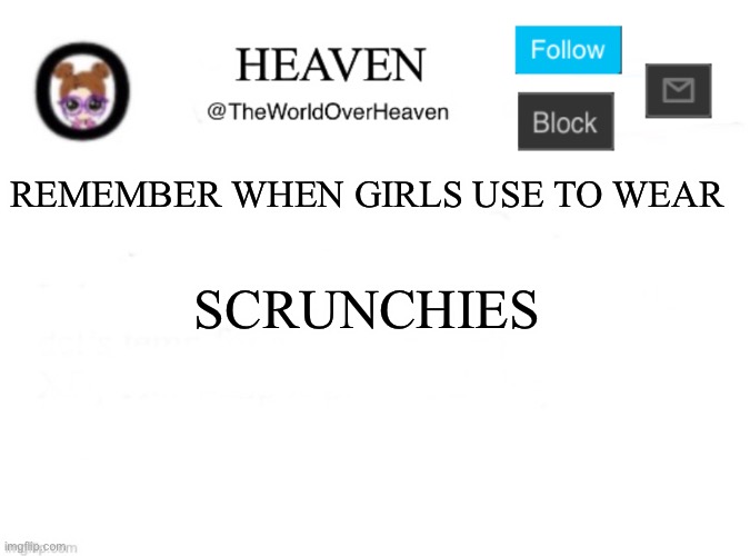 Remember #2 | REMEMBER WHEN GIRLS USE TO WEAR; SCRUNCHIES | image tagged in heaven template | made w/ Imgflip meme maker