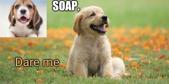 Dew it I'm bored | Dare me | image tagged in soap doggo template | made w/ Imgflip meme maker