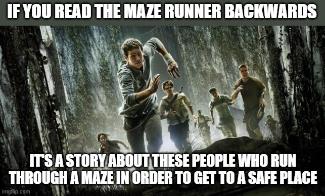 Maze runner | IF YOU READ THE MAZE RUNNER BACKWARDS; IT'S A STORY ABOUT THESE PEOPLE WHO RUN THROUGH A MAZE IN ORDER TO GET TO A SAFE PLACE | image tagged in maze runner | made w/ Imgflip meme maker