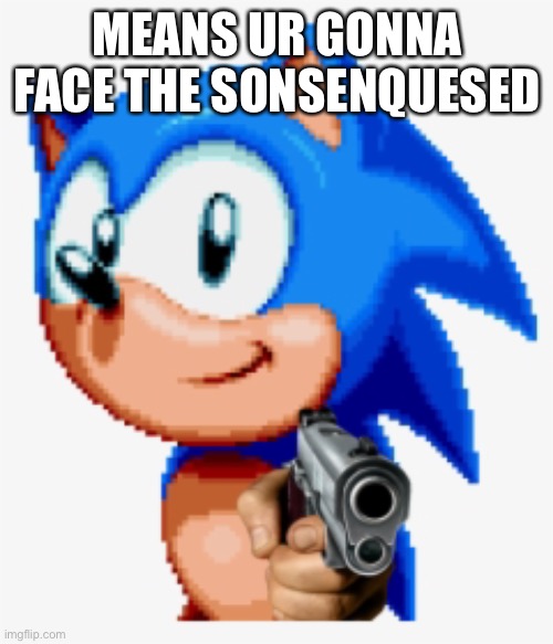 Sonic gun pointed | MEANS UR GONNA FACE THE SONSENQUESED | image tagged in sonic gun pointed | made w/ Imgflip meme maker