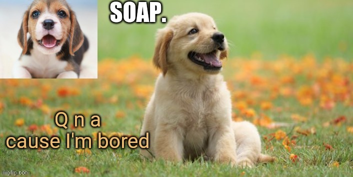 soap doggo template | Q n a cause I'm bored | image tagged in soap doggo template | made w/ Imgflip meme maker