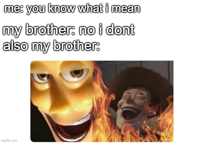 Relatable memes | my brother: no i dont; me: you know what i mean; also my brother: | image tagged in satanic woody | made w/ Imgflip meme maker