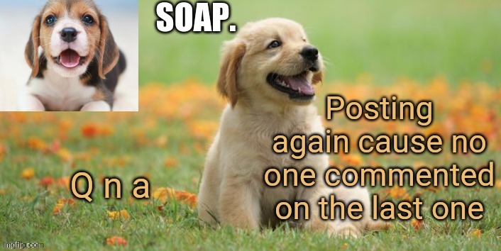 soap doggo template | Posting again cause no one commented on the last one; Q n a | image tagged in soap doggo template | made w/ Imgflip meme maker