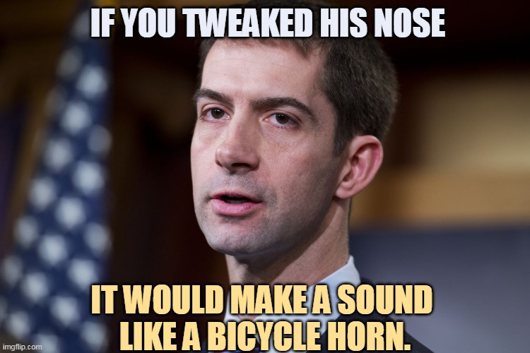 Lied about his resume, too. | IF YOU TWEAKED HIS NOSE; IT WOULD MAKE A SOUND 
LIKE A BICYCLE HORN. | image tagged in tom,cotton,idiot | made w/ Imgflip meme maker