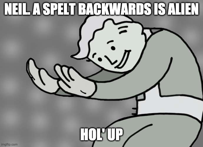 Hol up | NEIL. A SPELT BACKWARDS IS ALIEN; HOL' UP | image tagged in hol up | made w/ Imgflip meme maker