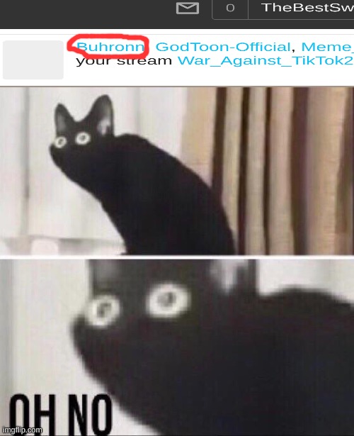I just got a new notification | image tagged in oh no cat | made w/ Imgflip meme maker