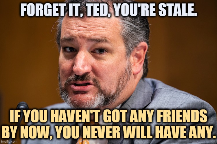 FORGET IT, TED, YOU'RE STALE. IF YOU HAVEN'T GOT ANY FRIENDS BY NOW, YOU NEVER WILL HAVE ANY. | image tagged in ted cruz,no,friends | made w/ Imgflip meme maker