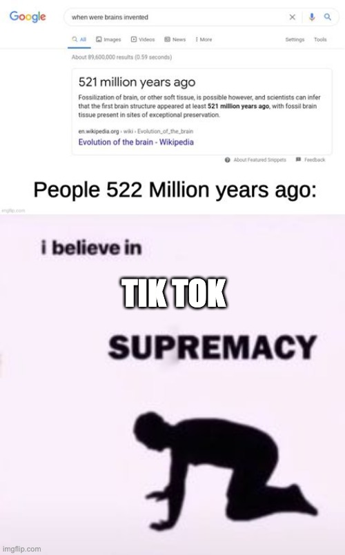 No wonder people were idiots back then | TIK TOK | image tagged in i believe in supremacy,tik tok sucks,stupidity | made w/ Imgflip meme maker