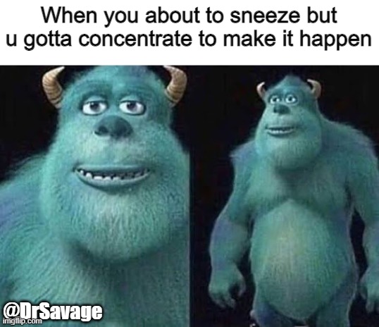 Who else hates it when you need to sneeze and it goes away | When you about to sneeze but u gotta concentrate to make it happen; @DrSavage | image tagged in relatable,funny memes | made w/ Imgflip meme maker