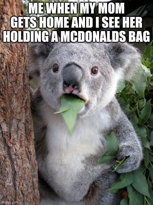 Surprised Koala | ME WHEN MY MOM GETS HOME AND I SEE HER HOLDING A MCDONALDS BAG | image tagged in memes,surprised koala | made w/ Imgflip meme maker
