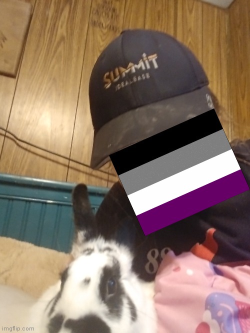 Idk why I did this but me and my rabbit stole my sister's blankets | image tagged in y,it's me and oj | made w/ Imgflip meme maker