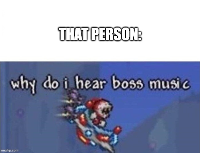 why do i hear boss music | THAT PERSON: | image tagged in why do i hear boss music | made w/ Imgflip meme maker