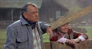 noble willingham, city slickers Blank Meme Template