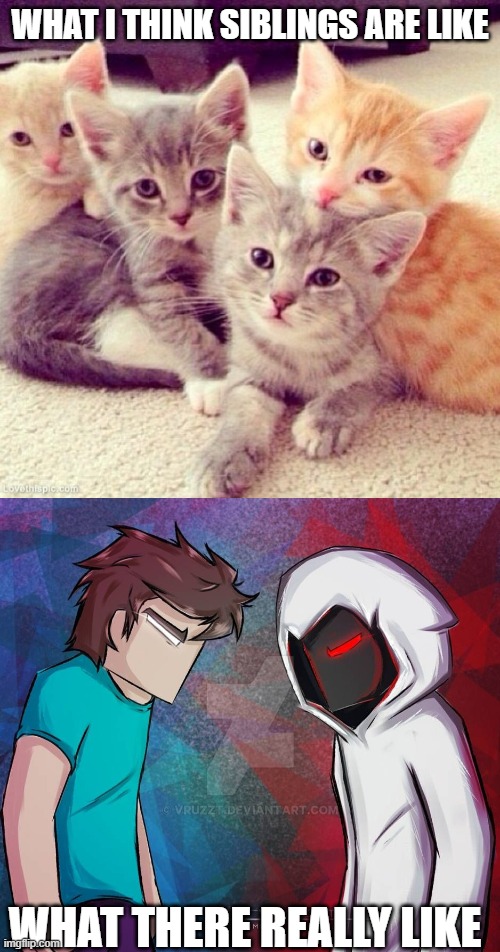 WHAT I THINK SIBLINGS ARE LIKE; WHAT THERE REALLY LIKE | image tagged in cute kitten group,herobrine vs entity303 | made w/ Imgflip meme maker