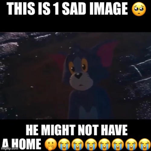 =‘( | image tagged in tom and jerry,sad | made w/ Imgflip meme maker